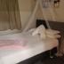 Homestay in Auckland