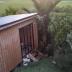 Homestay in Auckland