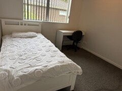 Homestay in Auckland