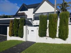 Homestay in Takapuna