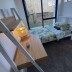 Homestay in Kelston