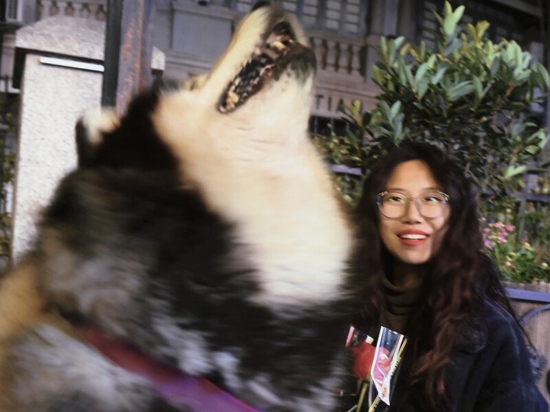  me and “wolf”