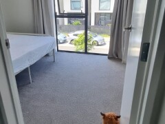 Homestay in Auckland