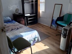 Homestay in Auckland 0600