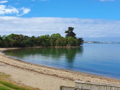 Homestay in Auckland