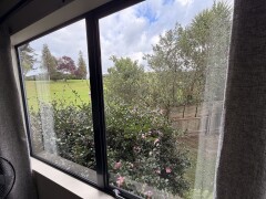 Homestay in Auckland