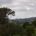 Homestay in Auckland