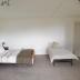 Homestay in Lynfield