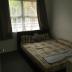 Homestay in Auckland