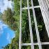 Homestay in Auckland City