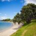 Homestay in Auckland Central