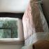 Homestay in Auckland