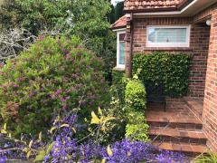 Homestay in Auckland