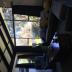Homestay in Christchurch