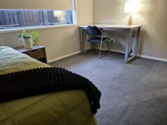 Homestay in Christchurch