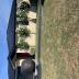 Homestay in Rangiora