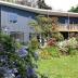 Homestay in Christchurch City