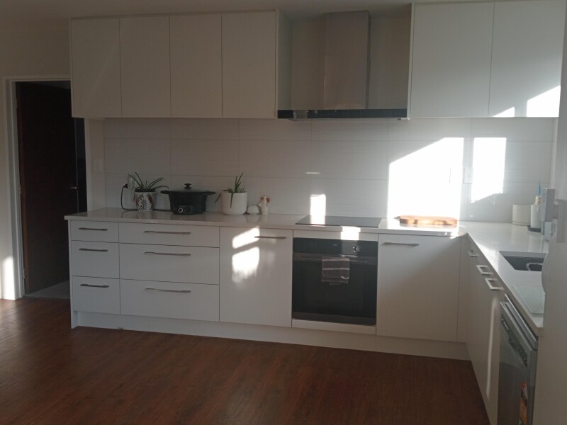 Dining kitchen with dish washer