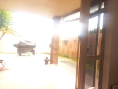 Homestay in Christchurch