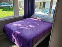 Homestay in Mairehau