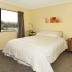 Homestay in Wellington