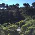 Homestay in Wellington