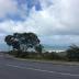 Homestay in Lower Hutt City